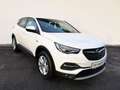 Opel Grandland X 1,5 Diesel Elegance Aut. Weiß - thumbnail 4