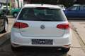 Volkswagen Golf Allstar BMT*HU/AU neu*PDC*AHZV*gepflegt* Blanc - thumbnail 6
