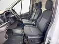 Ford Transit Kasten 350 L2H2 Trend AHKSitz-Paket29DAB Blanc - thumbnail 11