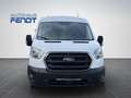 Ford Transit Kasten 350 L2H2 Trend AHKSitz-Paket29DAB Blanc - thumbnail 7