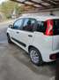 Fiat Panda Panda 1,2 69 Easy Easy Weiß - thumbnail 4