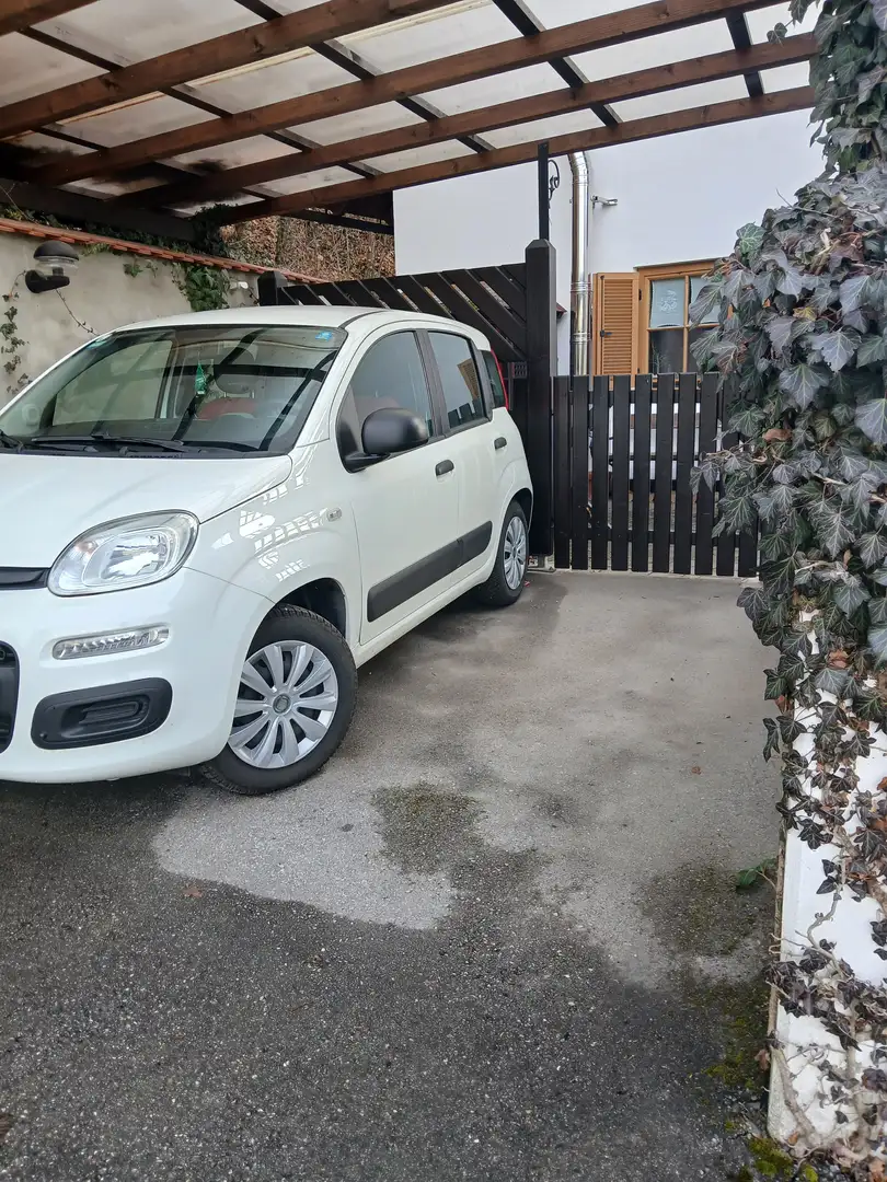 Fiat Panda Panda 1,2 69 Easy Easy Weiß - 1