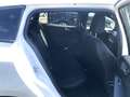 Ford Focus Turnier 1.0 Autom. ST-LINE X Leder Matrix tiefer A Blanco - thumbnail 12