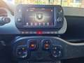 Fiat Panda Panda Cross 1.0 FireFly S&S Hybrid - thumbnail 14