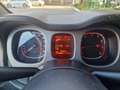 Fiat Panda Panda Cross 1.0 FireFly S&S Hybrid - thumbnail 12