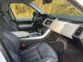 Land Rover Range Rover Sport Mark IV SDV6 3.0L HSE Dynamic A Blanc - thumbnail 8