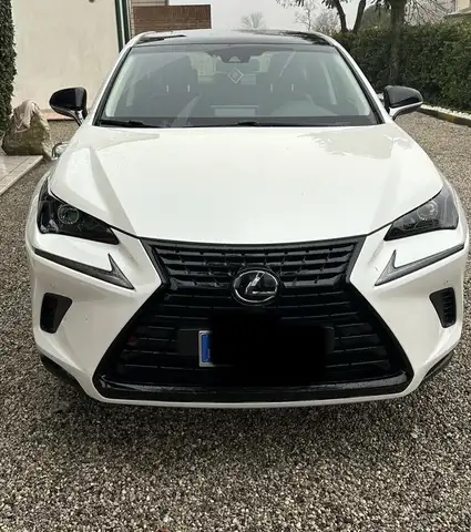 Lexus NX 300h