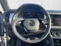 Skoda Kodiaq Ambition 1.5 TSI Navi LED Kamera SHZ Appl Silber - thumbnail 14
