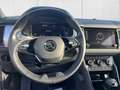 Skoda Kodiaq Ambition 1.5 TSI Navi LED Kamera SHZ Appl Silber - thumbnail 13