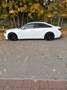 Audi A6 50 TDI quattro sport Weiß - thumbnail 7
