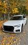 Audi A6 50 TDI quattro sport Weiß - thumbnail 3