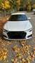 Audi A6 50 TDI quattro sport Weiß - thumbnail 4