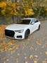Audi A6 50 TDI quattro sport Weiß - thumbnail 9