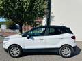 Ford EcoSport Titanium Weiß - thumbnail 6