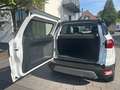 Ford EcoSport Titanium Weiß - thumbnail 9