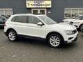 Volkswagen Tiguan 1.4 TSi Connected | PANORAMADAK | NAV. | ERGO ACTI Blanc - thumbnail 1
