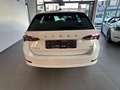 Skoda Octavia 1,4 TSI iV Combi Hybrid PHEV Style DSG Weiß - thumbnail 3