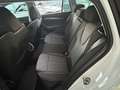 Skoda Octavia 1,4 TSI iV Combi Hybrid PHEV Style DSG Weiß - thumbnail 12