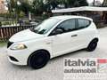 Lancia Ypsilon Ypsilon 1.0 IBRIDA SILVER 12MESI GARANZIA AZIENDA Wit - thumbnail 1