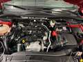 Ford Kuga Kuga III 2020 1.5 ecoblue ST-Line X 2wd 120cv auto Rot - thumbnail 47