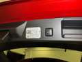 Ford Kuga Kuga III 2020 1.5 ecoblue ST-Line X 2wd 120cv auto Rot - thumbnail 41