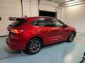 Ford Kuga Kuga III 2020 1.5 ecoblue ST-Line X 2wd 120cv auto Rot - thumbnail 8