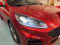 Ford Kuga Kuga III 2020 1.5 ecoblue ST-Line X 2wd 120cv auto Rot - thumbnail 9