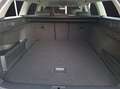 Volkswagen Passat Variant TDI Business DSG Standhzg LED Navi ACC RFK SH Weiß - thumbnail 13