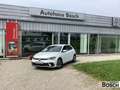Volkswagen Polo 1.0 TSI Move Life DSG AHK Navi ACC RFK SHZ Blanco - thumbnail 2