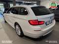 BMW 520 520d Touring Business 190cv Automatico Blanc - thumbnail 4