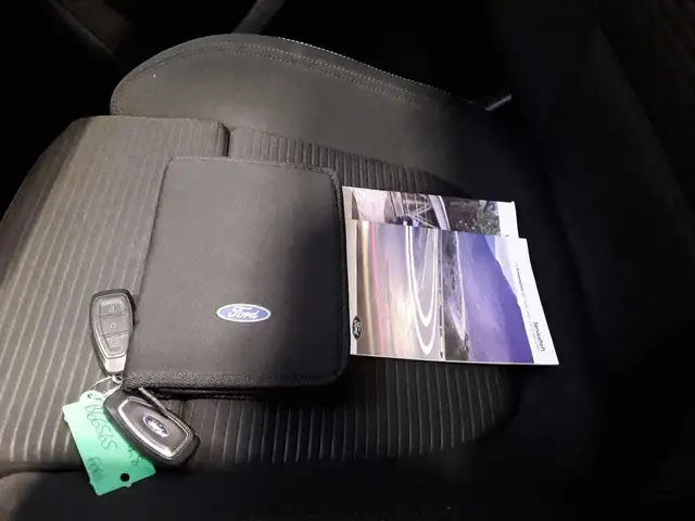 Ford Focus view 11
