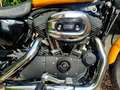 Harley-Davidson Sportster 1200 XL1200 Roadster Jaune - thumbnail 1
