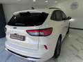 Ford Kuga Kuga III 2021 1.5 ecoblue ST-Line 2wd 120cv auto Weiß - thumbnail 10