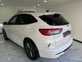 Ford Kuga Kuga III 2021 1.5 ecoblue ST-Line 2wd 120cv auto Weiß - thumbnail 8