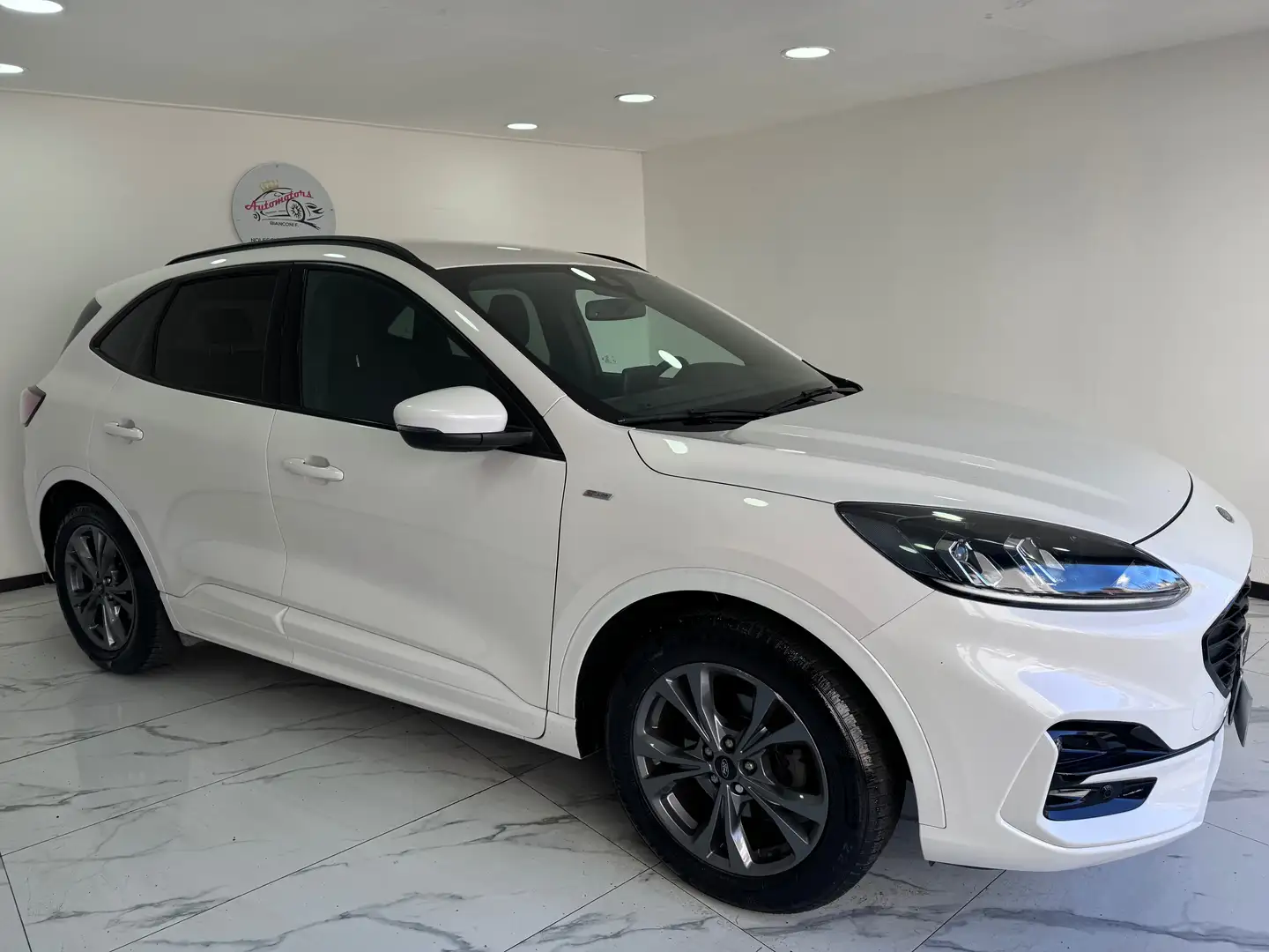 Ford Kuga Kuga III 2021 1.5 ecoblue ST-Line 2wd 120cv auto Weiß - 2