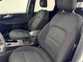 Ford Kuga Kuga III 2021 1.5 ecoblue ST-Line 2wd 120cv auto Weiß - thumbnail 15
