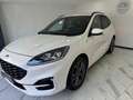 Ford Kuga Kuga III 2021 1.5 ecoblue ST-Line 2wd 120cv auto Weiß - thumbnail 4