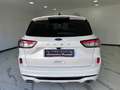 Ford Kuga Kuga III 2021 1.5 ecoblue ST-Line 2wd 120cv auto Weiß - thumbnail 9