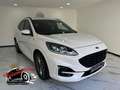Ford Kuga Kuga III 2021 1.5 ecoblue ST-Line 2wd 120cv auto Weiß - thumbnail 1