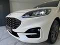 Ford Kuga Kuga III 2021 1.5 ecoblue ST-Line 2wd 120cv auto Weiß - thumbnail 6