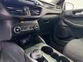 Ford Kuga Kuga III 2021 1.5 ecoblue ST-Line 2wd 120cv auto Weiß - thumbnail 14