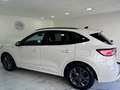 Ford Kuga Kuga III 2021 1.5 ecoblue ST-Line 2wd 120cv auto Weiß - thumbnail 7