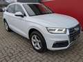 Audi Q5 40 TDI quattro sport HUD Kamera Panorama Weiß - thumbnail 8