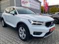 Volvo XC40 Momentum 2WD Pano/Harman-Kardon/360°/Assist Weiß - thumbnail 2