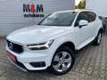 Volvo XC40 Momentum 2WD Pano/Harman-Kardon/360°/Assist Weiß - thumbnail 1