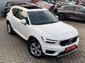 Volvo XC40 Momentum 2WD Pano/Harman-Kardon/360°/Assist Weiß - thumbnail 20