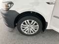 Volkswagen Caddy 2.0 TDI Maxi TL DSG 7-SITZER AHK+RFK+SHZ Weiß - thumbnail 11