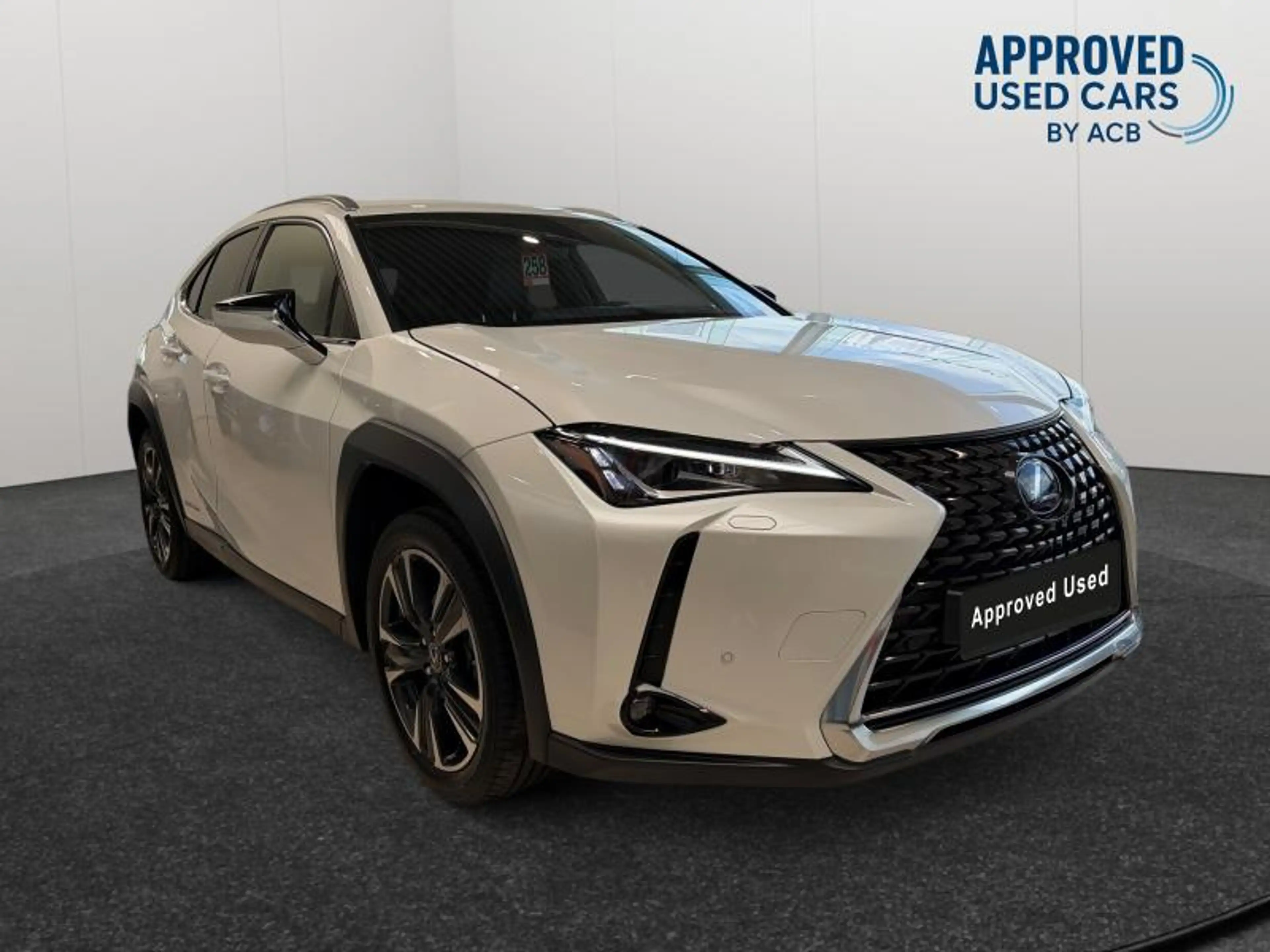 Lexus UX 250h . — photo 13