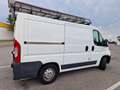 Peugeot Boxer L1H1 White - thumbnail 3