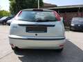Ford Focus 1,6 Ghia Vert - thumbnail 7